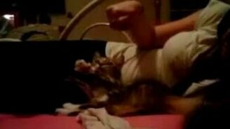 Кошка повторюшка - смотреть видео (0:20)