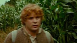 Забавный ремикс на музыку "Властелина колец" - смотреть видео (3:07)