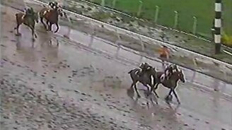 Необычный финиш на скачке - смотреть видео (1:03)