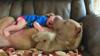 Сборка дружелюбных приколов - смотреть видео (4:48)