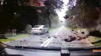 На полной скорости в кювет - смотреть видео (0:16)