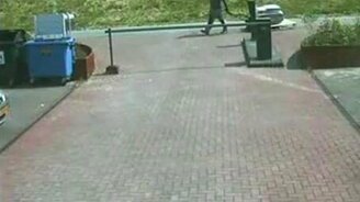 Сам виноват - смотреть видео (0:22)