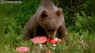 Коротенькие приколы с монтажом и озвучкой - смотреть видео (3:32)