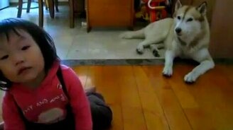 Ребёнок играет, собака поёт - смотреть видео (0:43)