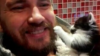 Котёнок-парикмахер - смотреть видео (0:18)