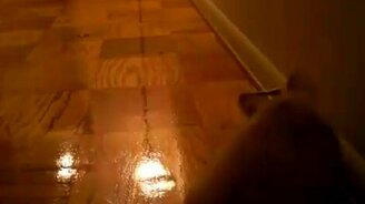 Игривый пёс - смотреть видео (0:30)