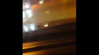 Спасение скунса от гибели - смотреть видео (5:38)