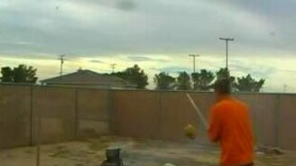 Птичку поджарили - смотреть видео (0:38)