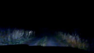 Погоня за быстрым зайцем - смотреть видео (3:59)