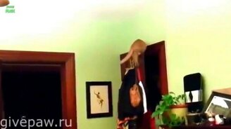 Кошаки учатся летать - смотреть видео (7:07)