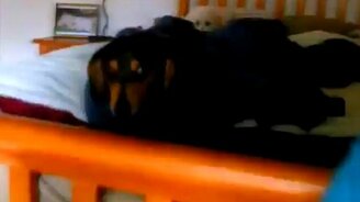 Для тех, у кого шило в попе - смотреть видео (0:47)