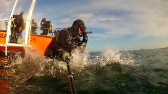 Милые детёныши морских тюленей - смотреть видео (3:20)