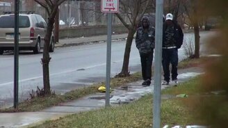 Змея в дамской сумочке - смотреть видео (2:01)