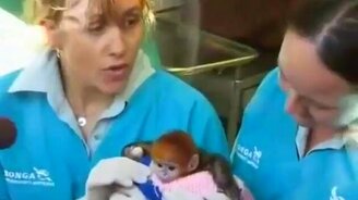 Обезьянке 4 дня - смотреть видео (1:18)