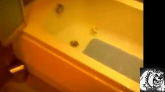 Как кошка с собакой: подборка приколов - смотреть видео (3:11)