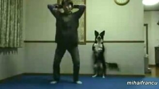 Как питомцы упражняются - смотреть видео (2:02)