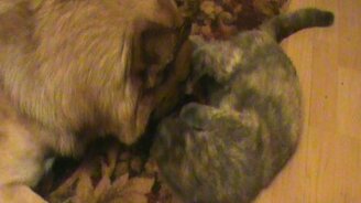 Хоть ты и старше, но я тут хозяйка - смотреть видео (5:47)