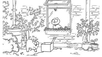 Кот Саймона в поисках любви - смотреть видео (5:04)