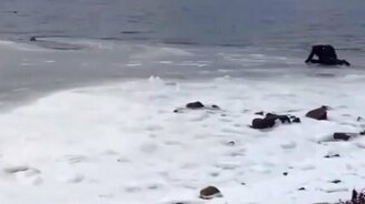 Вытащил из ледяной воды пса - смотреть видео (1:12)