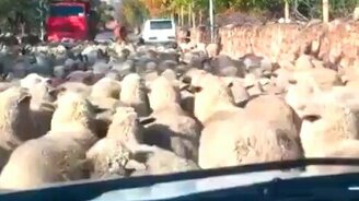 Затор в горах - смотреть видео (0:15)