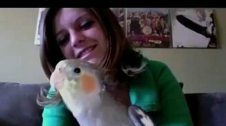 Птица свистун - смотреть видео (3:19)