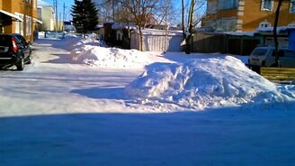 Удобный кошачий вход в дом - смотреть видео (0:23)