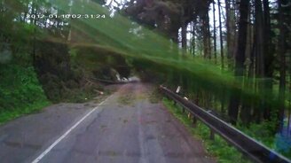 Лес повалился на авто - смотреть видео (0:52)