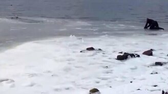 Мужчина спасает собаку - смотреть видео (1:12)