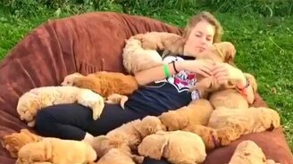 Лечимся щенятами - смотреть видео (1:00)