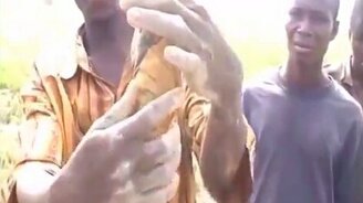 Выкапываем из почвы рыбу - смотреть видео (2:10)