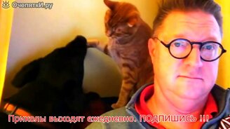 Подборка разных прикольностей - смотреть видео (10:00)