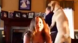 Весёлые короткие приколы - смотреть видео (4:11)