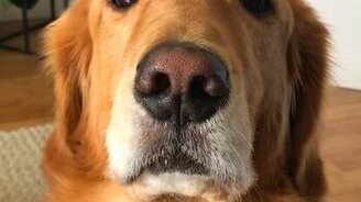 Когда неохота отвечать на провокацию - смотреть видео (0:44)