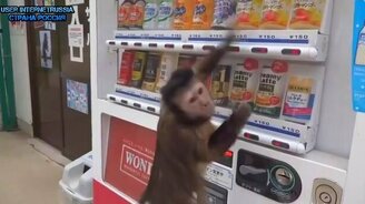 Много-много приколов в сборке - смотреть видео (4:53)