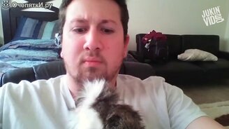 Приколы с участием грызунов - смотреть видео (4:05)