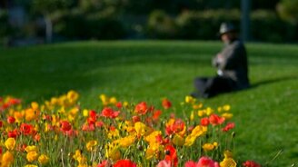 Природная красота - смотреть видео (4:33)