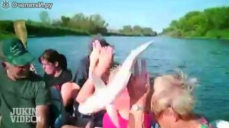 Познакомились с летучей рыбой - смотреть видео (0:30)