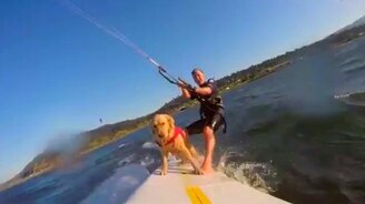 Собака-виндсёрфер - смотреть видео (2:32)