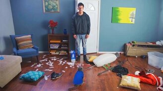 Как кошки устроили погром - смотреть видео (1:13)