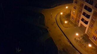 Собаки против лазерной указки - смотреть видео (1:08)