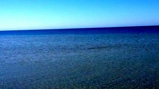 Рыба обезумела - смотреть видео (0:37)