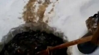 Обильный улов - смотреть видео (1:00)