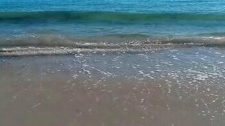 Акула села на мель - смотреть видео (1:42)