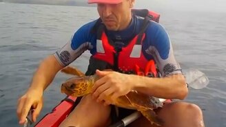 Человек черепахе друг - смотреть видео (2:09)