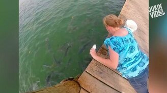 Выживаем в дикой природе - смотреть видео (4:38)