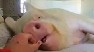 Когда жизнь не удалась - смотреть видео (0:35)