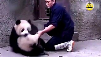 Мы против уколов! - смотреть видео (1:26)