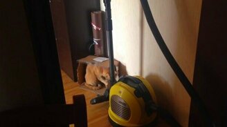 Ой, меня заметили!.. - смотреть видео (0:39)