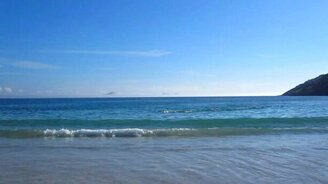 Люди спасают дельфинов - смотреть видео (3:45)