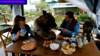 Подборка смеха с озвучкой - смотреть видео (10:37)